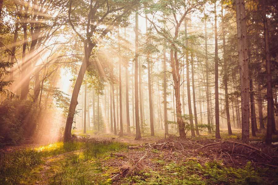 舞蹈大賽展現多元舞蹈風格精彩紛呈
