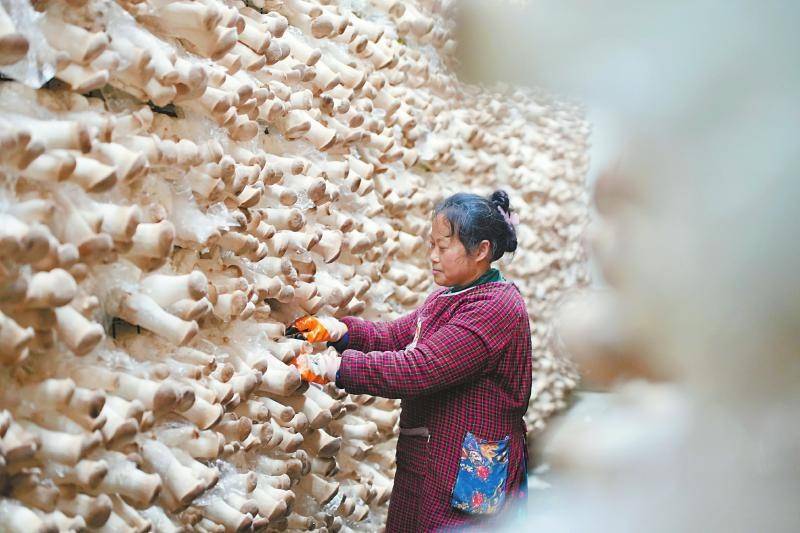 美食文旅節目《三餐四季》走進四川