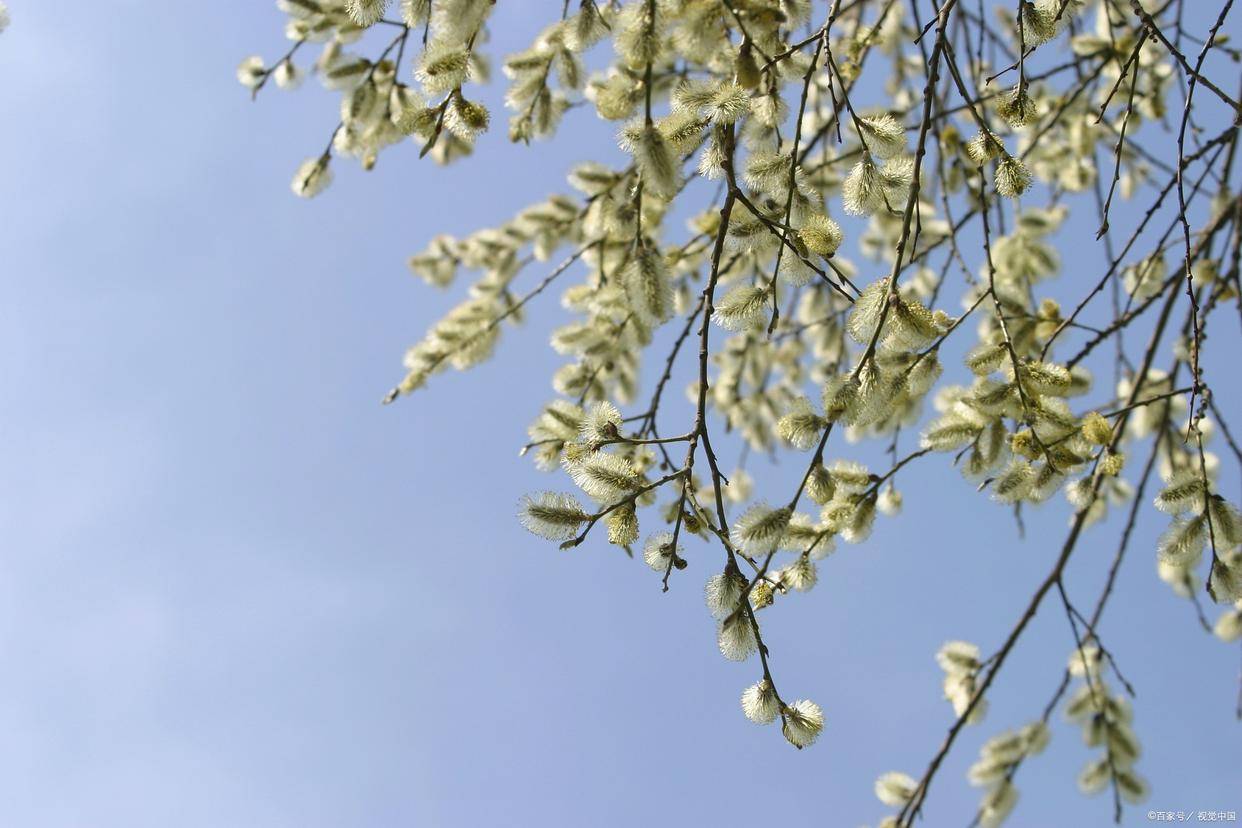 朝拜不必遠去（詩歌）