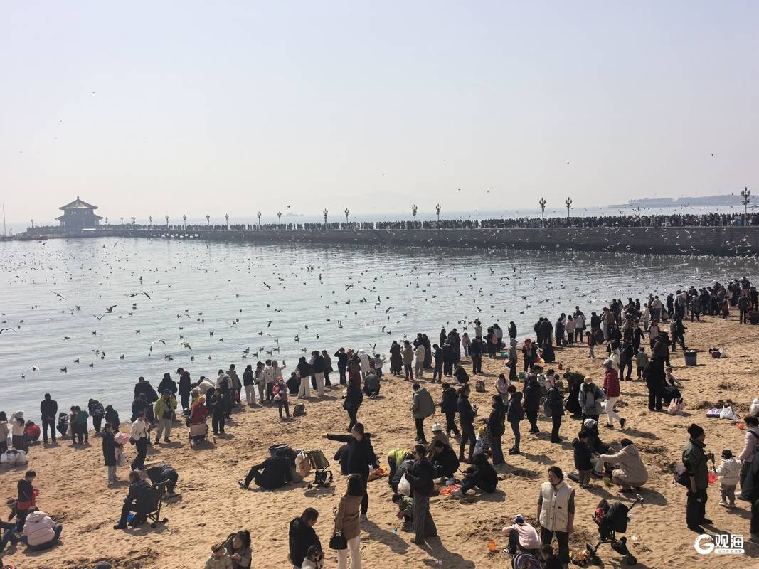 春節假期過後，青島老城文化旅遊區依然“人從眾”