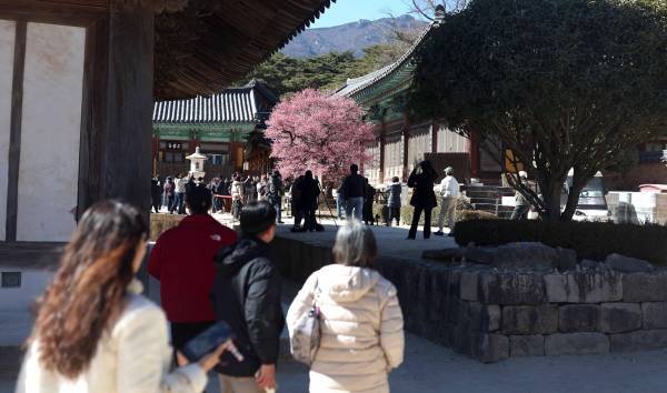 韓國旅遊業“大手術”，李在明親自“主刀”