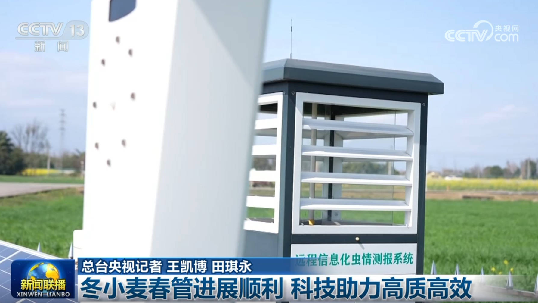 冬小麥春管進展順利 科技助力高質高效