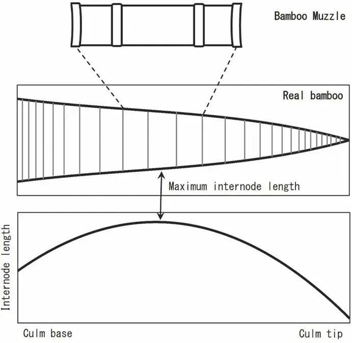怎麼真的有人考據禰豆子的竹子還寫出論文啊！