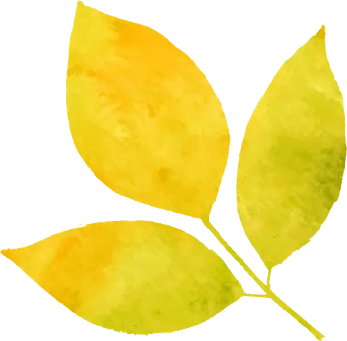 即墨區老年大學2026年春季學期招生簡章