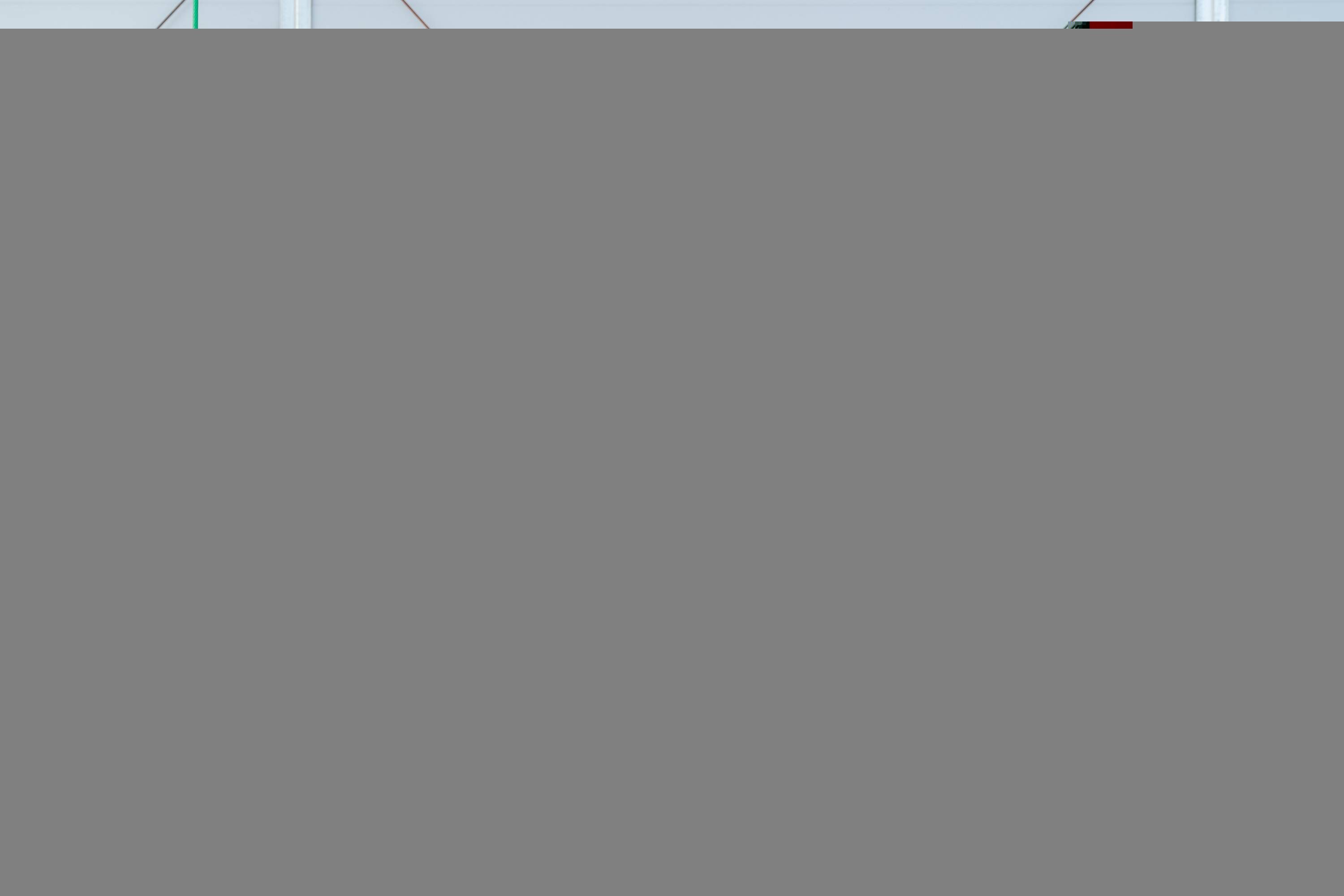 光影定格、美食傳情，濱海灣暖心活動致敬“她力量”