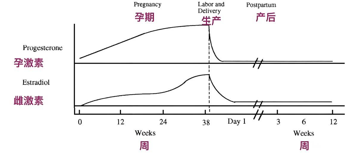 原創為啥有的女性帶孩子容易抑鬱？二胎媽媽道出實情