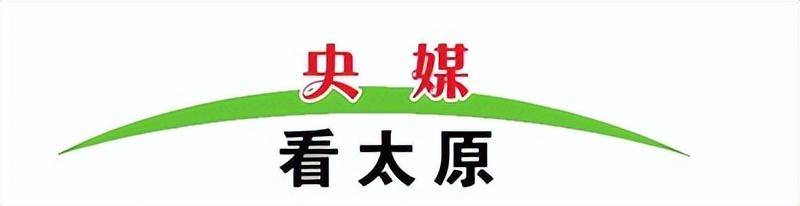 中新網報道山西大學牽頭成立雲岡學研究聯盟