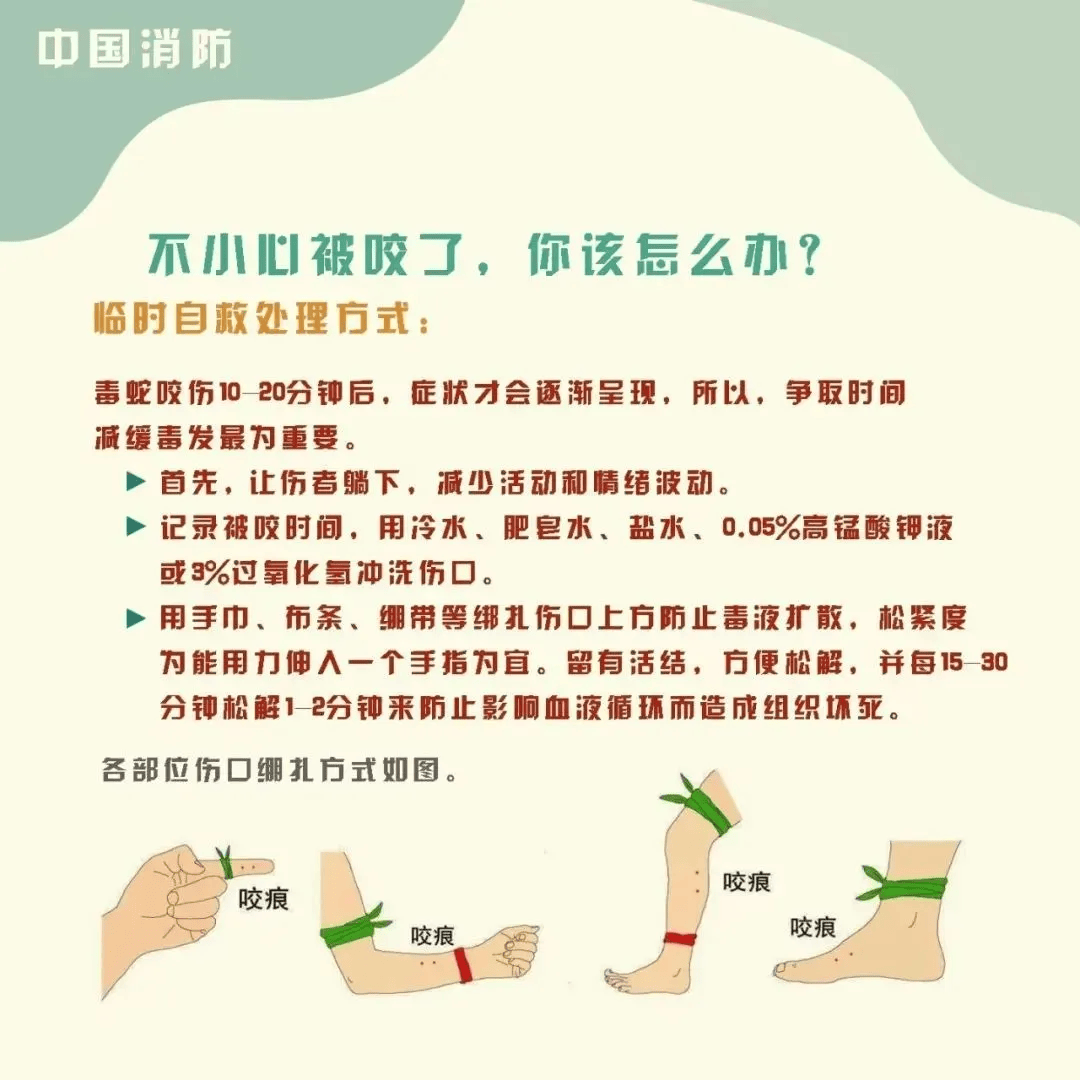 雲南3歲女童被眼鏡王蛇咬傷，“假死”3天后奇蹟生還！