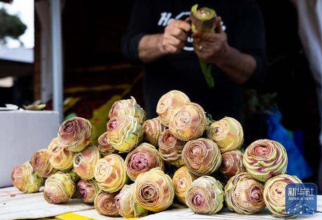 義大利海濱小鎮舉辦洋薊美食節