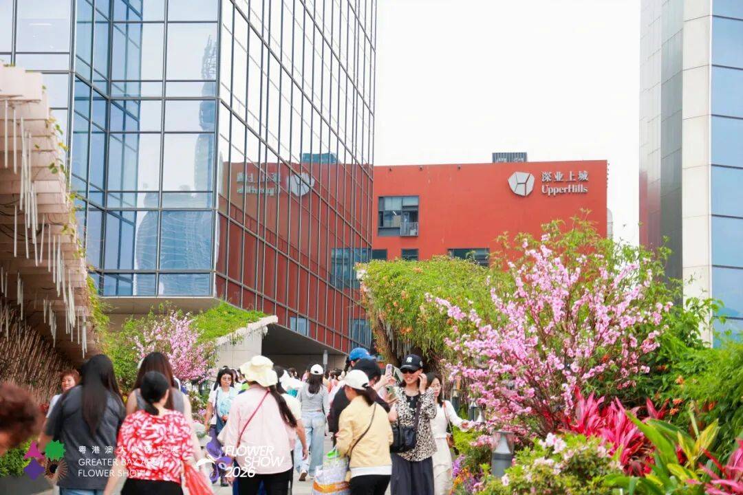 緊急收藏！五一深圳賞花寶地大揭秘，免費又好拍！