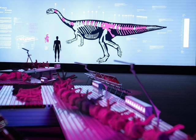 “鳥巢”上新！2026國際科技藝術展明起開放