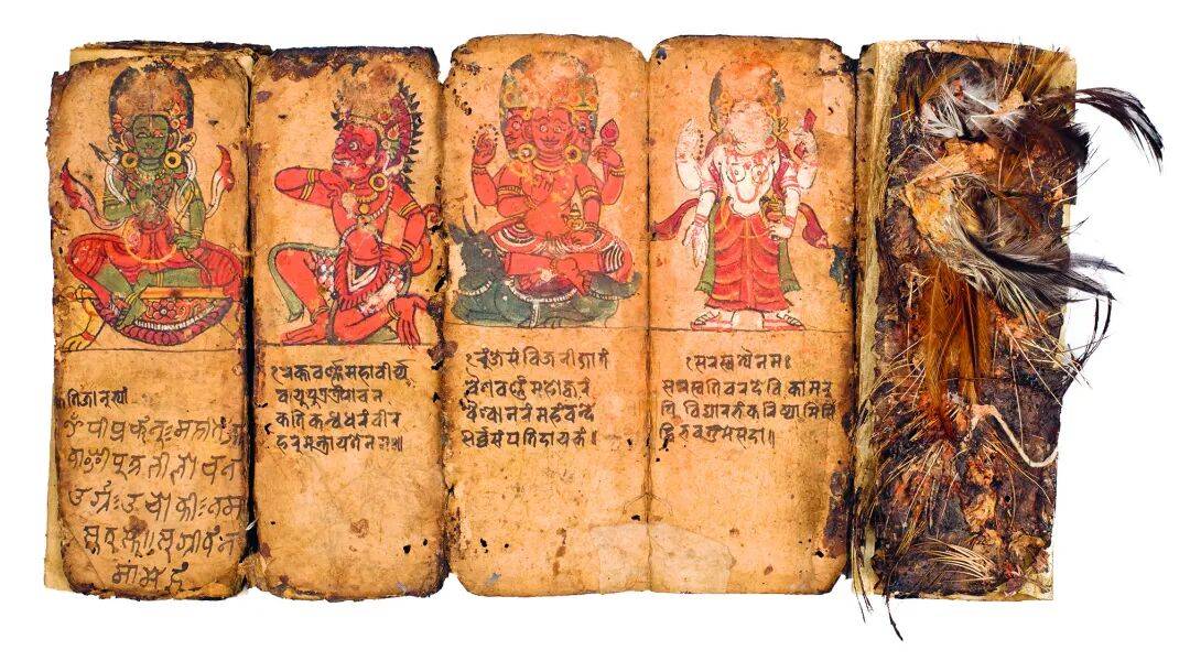 因好奇而反思，抵達某種真實 | 杜鵬評《狂人圖書館》