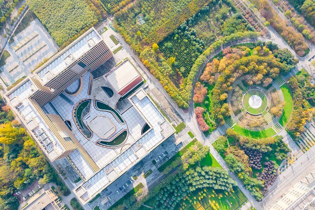 2026年開始招生！一批985/211大學官宣新專業，前沿專業扎堆！