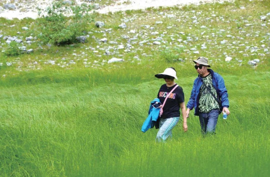 為什麼“特種兵旅遊”不香了？這屆年輕人開始流行“慢充式旅遊”