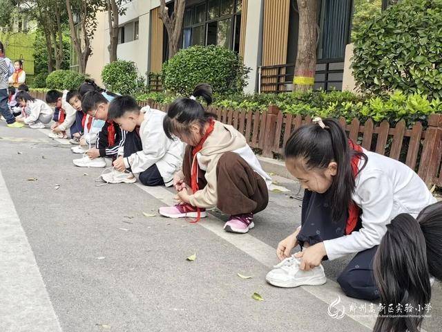 勞動技能加加加！高新區實驗小學小小勞動者大展風采