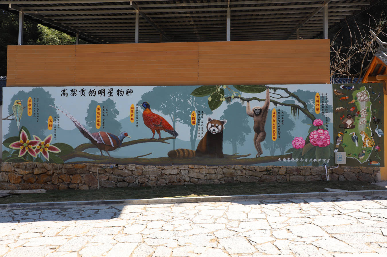 雲南唯一！保山百花嶺村入選全國首批“特色生態旅遊地”典型案例