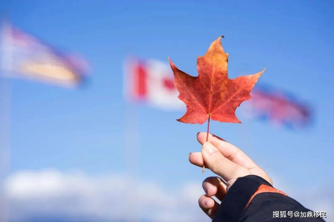 加拿大移民申請處理時間再更新！新的移民優先順序已經越來越清晰