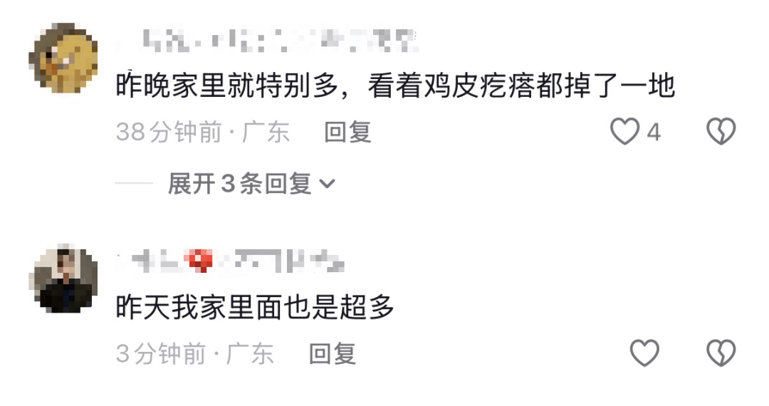 密密麻麻，近期大量出現！廣東人注意：關好門窗