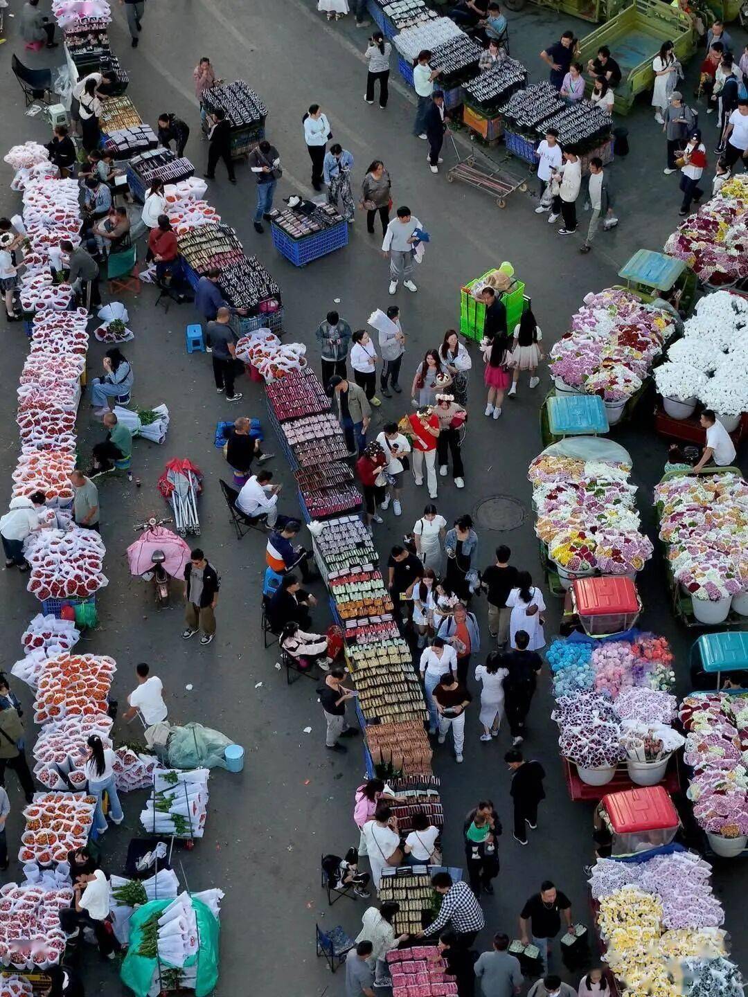 春城少年遊：人均100人文/美食Citywalk