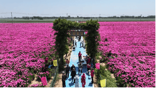 陽信縣洋湖鄉：文化與美景美食串聯起鄉村振興美好願景