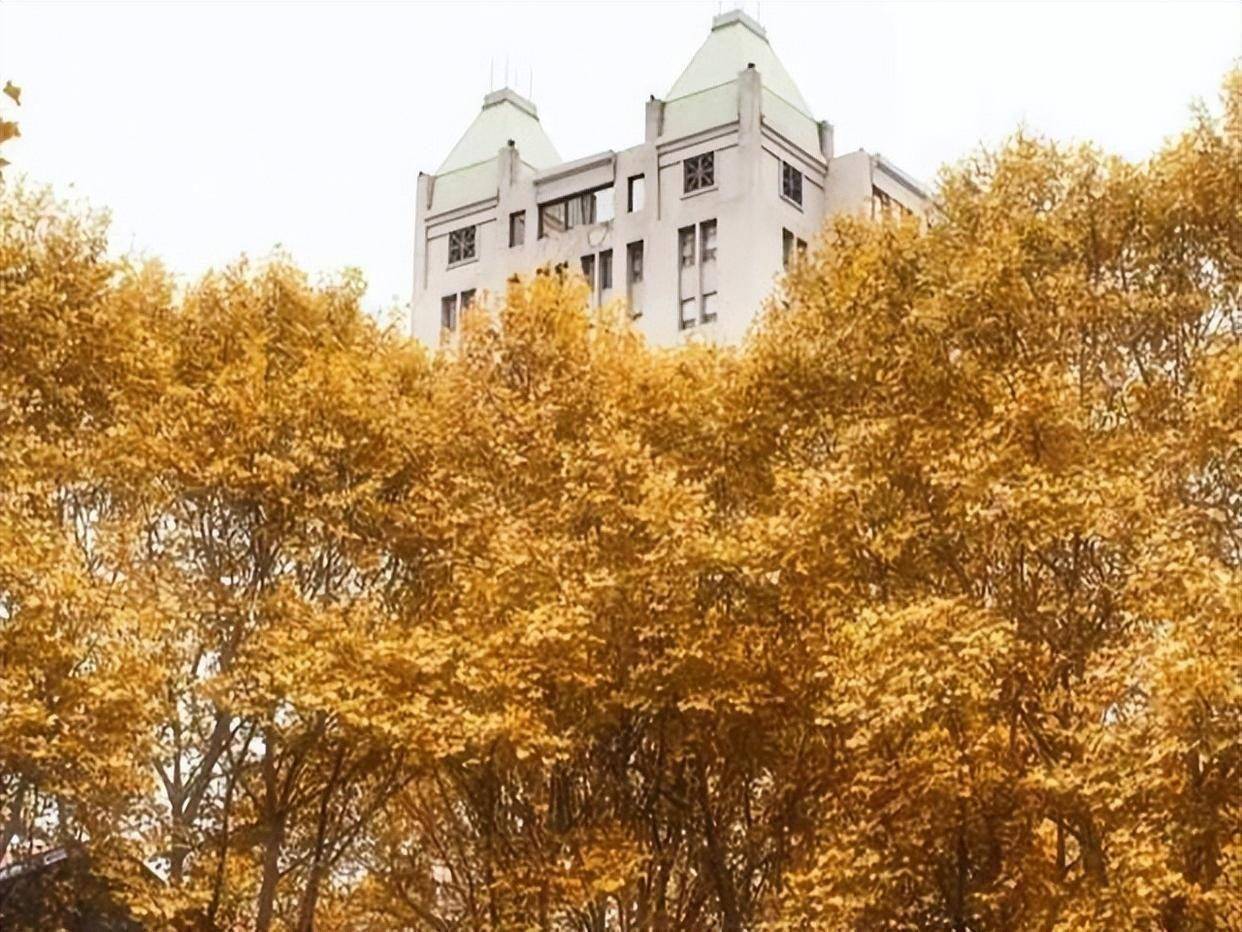 原創什麼是雙一流大學？與985大學和211大學之間的差別究竟是什麼？
