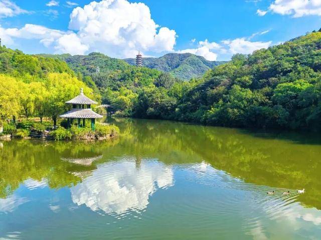 免票！半價！“5·19中國旅遊日”山東景區大放價！收藏→