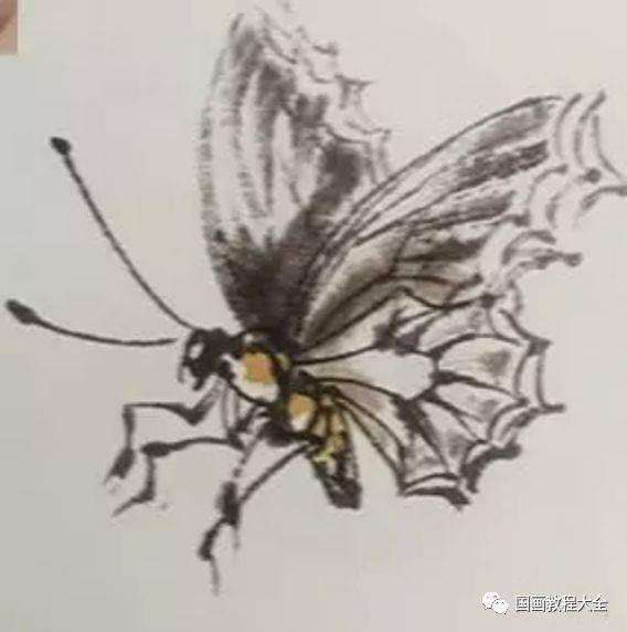 蝴蝶國畫好素材，張張入畫！（附教程）