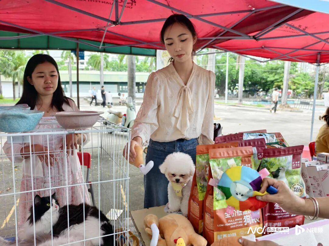 東莞橋頭蓮湖邊上，一連十天全是美食攤！