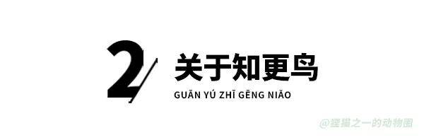 原創美國男子買了輛卡車卻不能開走，因為車輪上有個鳥巢，官方：受法律保護！