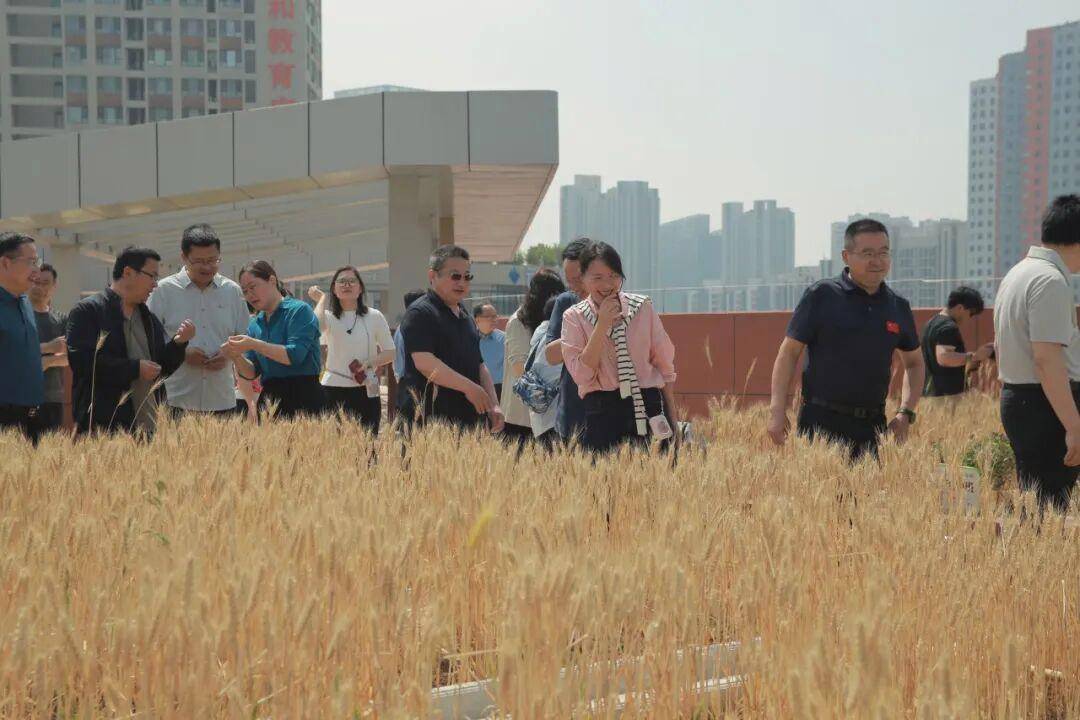 原創臨沂第六中學赴臨沂實驗中學對標交流學習舉行