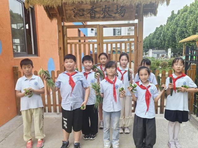 合肥市倫先小學：採摘沁香蔬果，勞動樂享成長