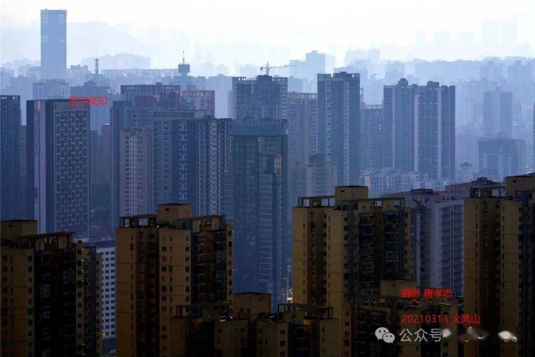 原創性侵淪為生命賭博：“德國老司機駕校”案撕開的惡之假面