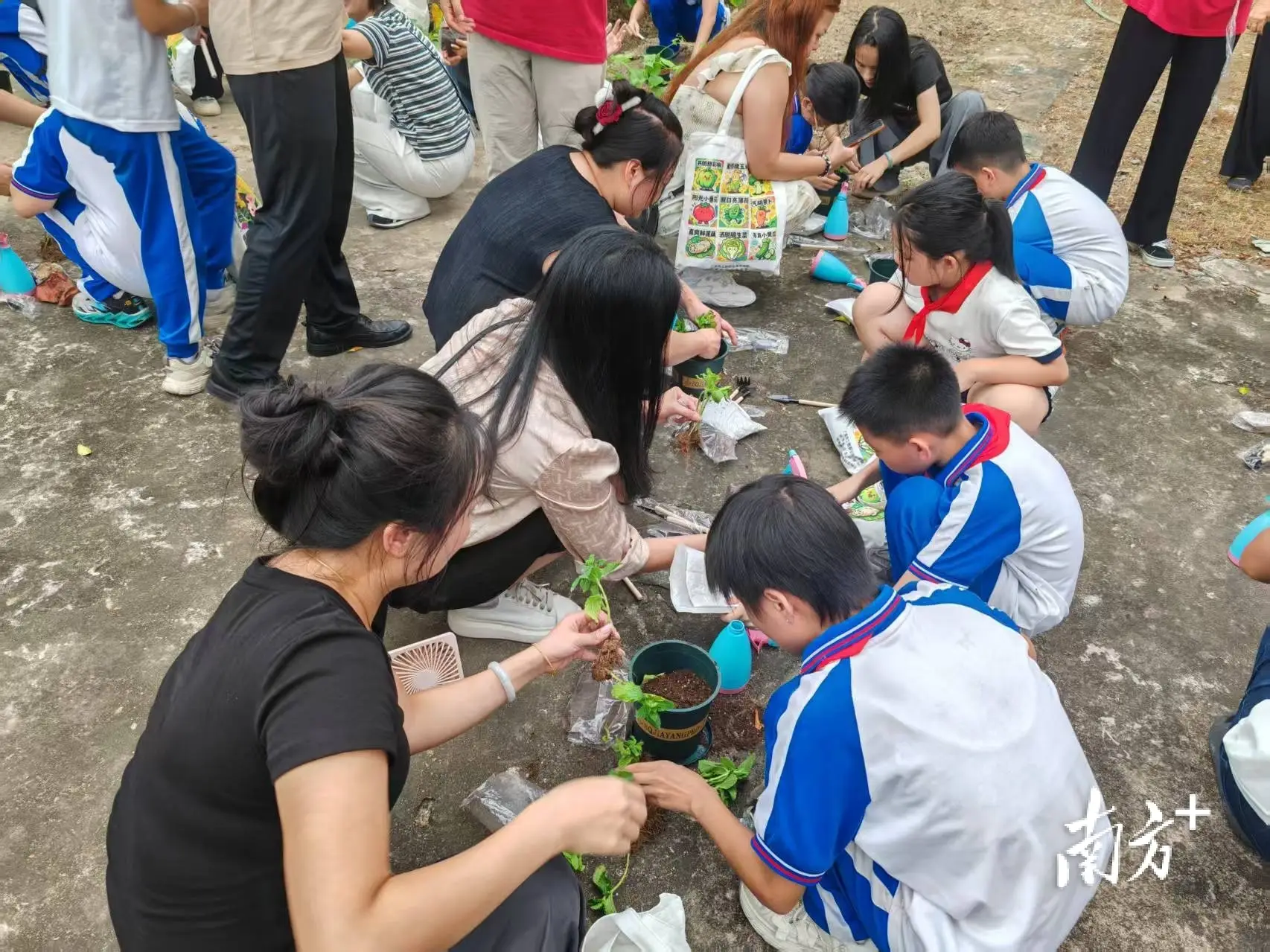 多方聚力護童心！駐梅隴鎮幫扶工作隊紮實推進教育幫扶工作