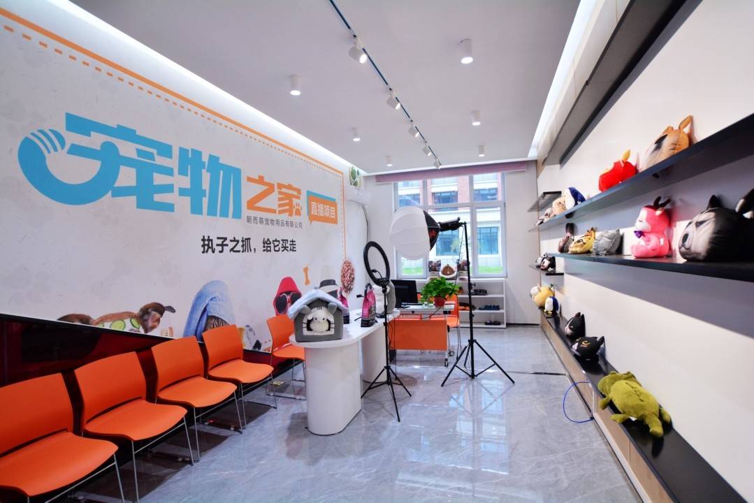 辨析學動漫設計要什麼，選哪家動漫學校比較靠譜