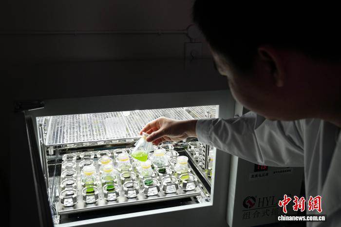 大理大學“保衛”洱海