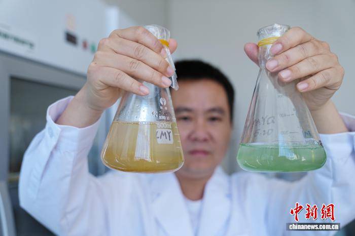 大理大學“保衛”洱海