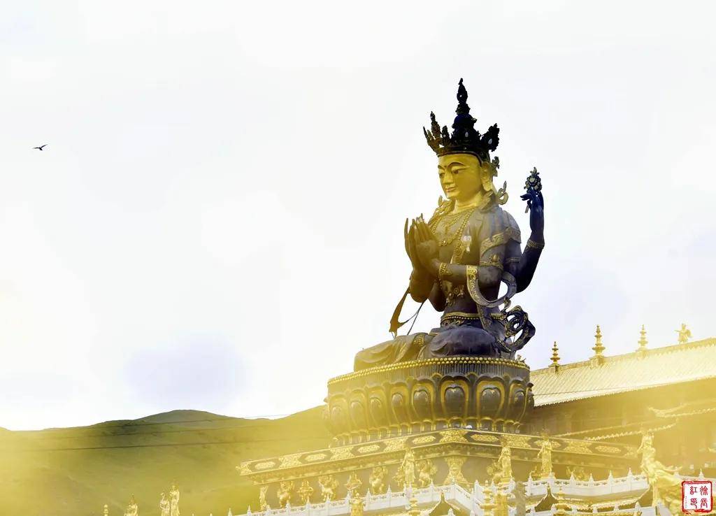 青甘旅遊攝影休閒度假・專業創作雙優選，靠譜參團認準#國際旅遊攝影網#52旅遊攝影#52旅行攝影