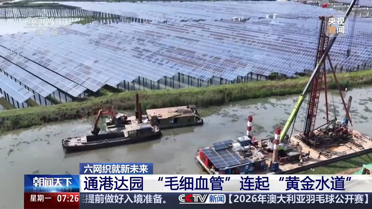 智慧航運+通港達園，多措並舉加速建設物流網