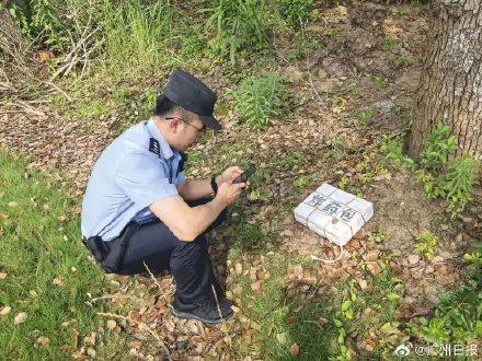 虛驚一場！小區草叢發現炸藥包，原是影視道具