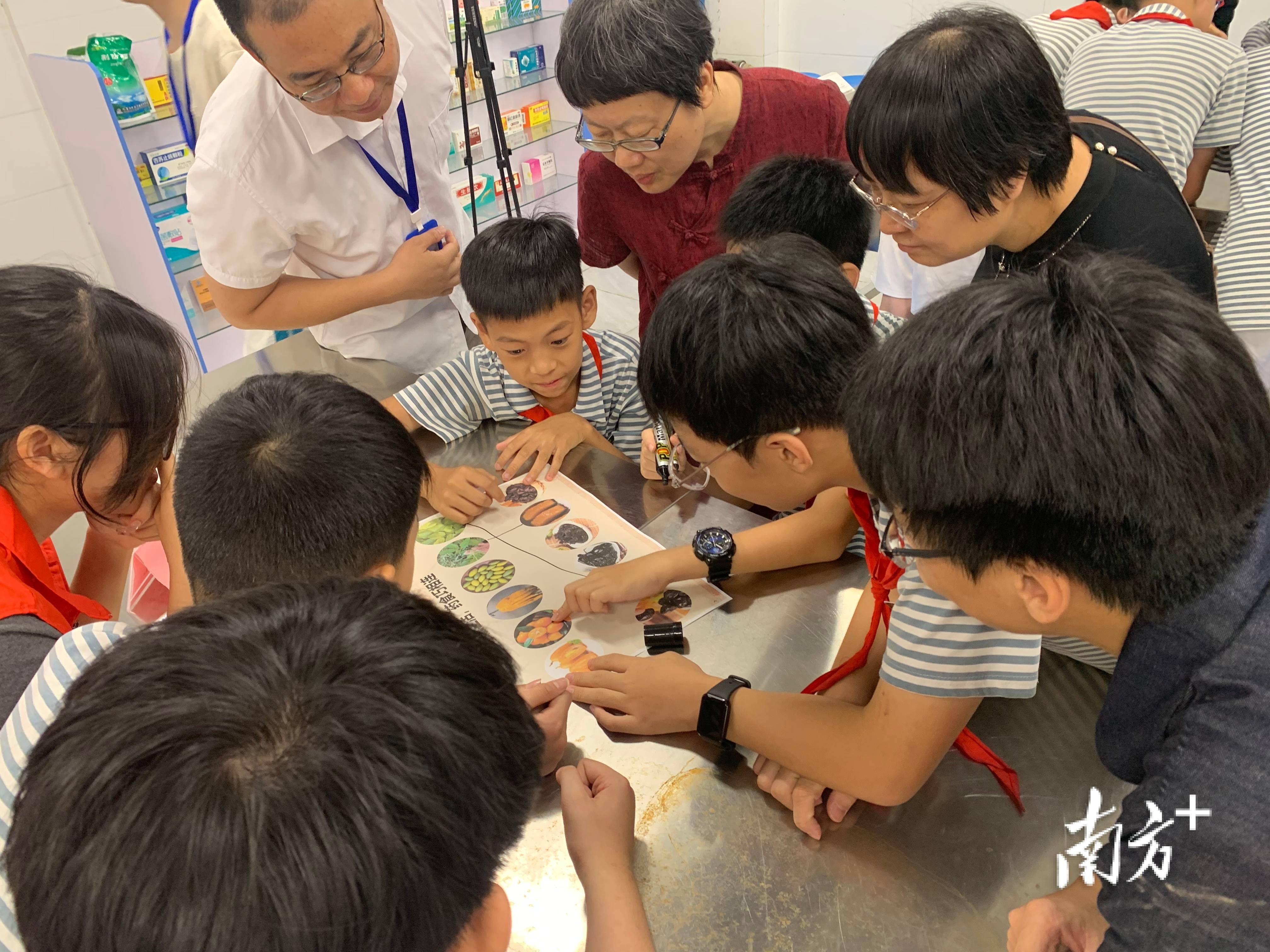 潮州衛職院牽手綿德小學，共探潮汕藥食非遺裡的養生智慧