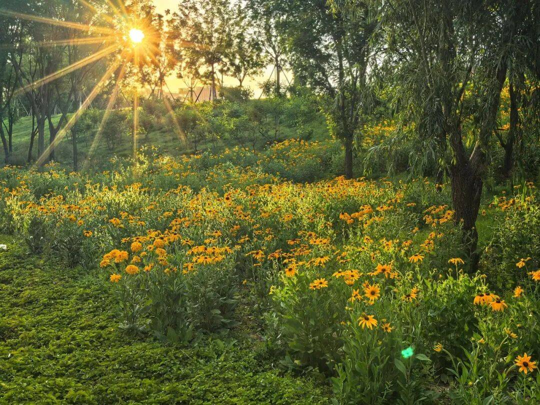 我的小學